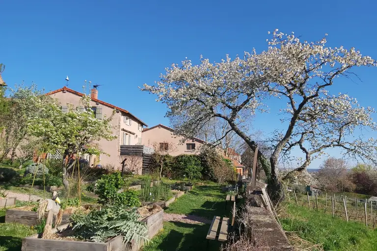 Visite du jardin du Moyen-Âge à Saint-Haon-le-Châtel à Saint-Haon-le-Châtel