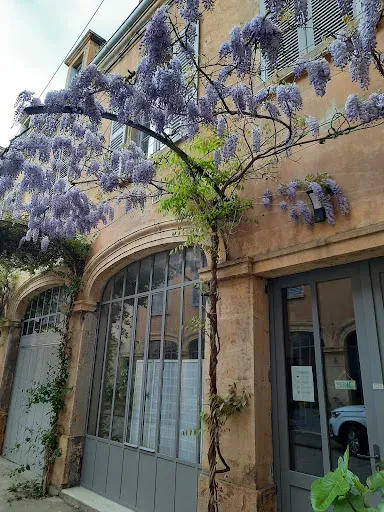 Agnes Perret | HARMONIE DU CORPS à Mably