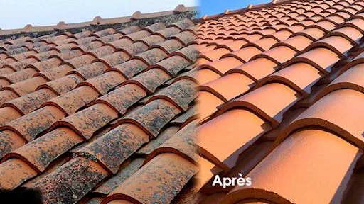Cool Roof Impact à Mably
