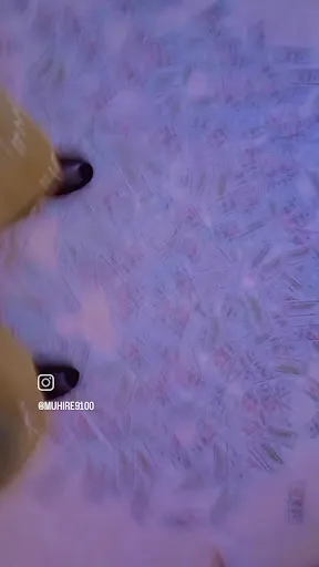 Délice et Création - Mably à Mably