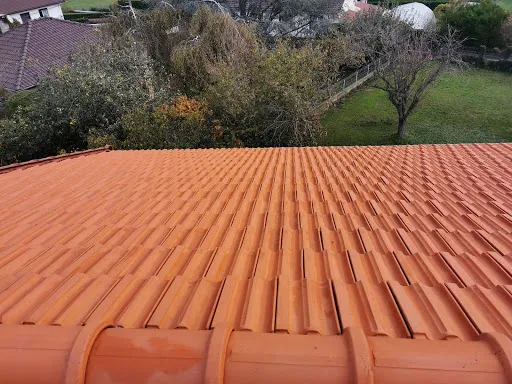 DUPUY TRAITEMENT - traitement charpente - isolation - nettoyage toiture à Mably