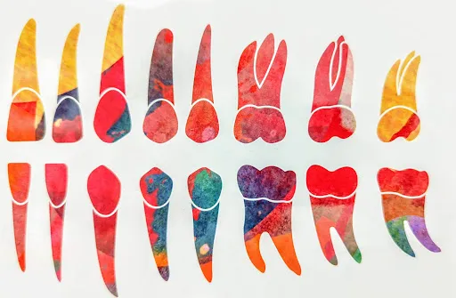 Glon Vincent à Mably