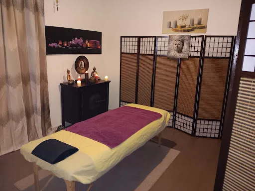 Henry VILLEVIEILLE ,massages énergétiques et chiropractiques, reiki . à Mably