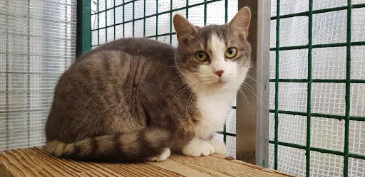 L'Arche de Noé à Mably