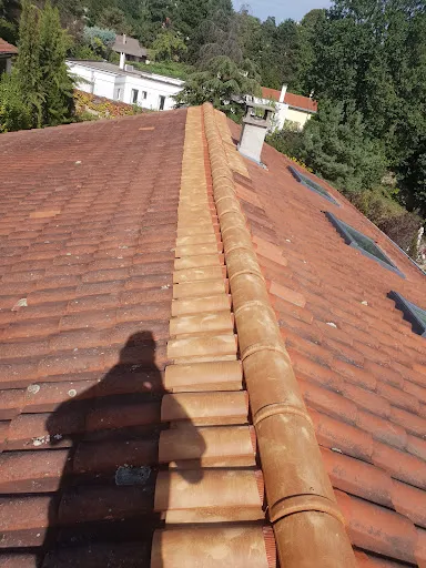 Muntz Anthony: Artisan couvreur Rénovation Réparation toiture Démoussage Décapage Peinture façade 42 Loire Roanne Firminy à Mably