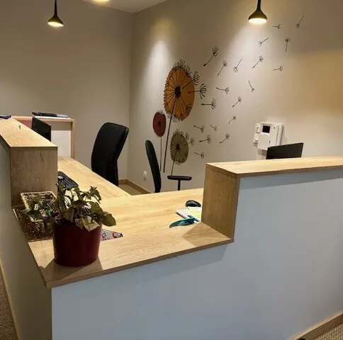 PLUS EXPERTS ROANNE - Expert Comptable Roanne à Mably