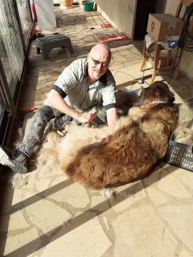 Richard le Toiletteur - L'Art des Chiens à Mably