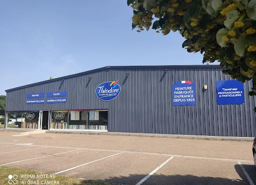 Théodore Maison de Peinture à Mably