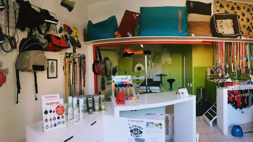 Toutou Clermont / Benessy Marina à Mably