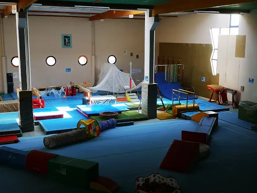 Union Gymnique Roanne Mably à Mably